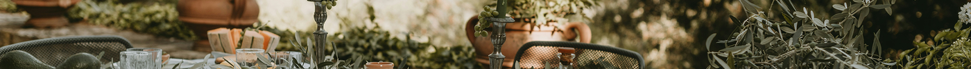 The Olive: a legacy from Roman Portugal