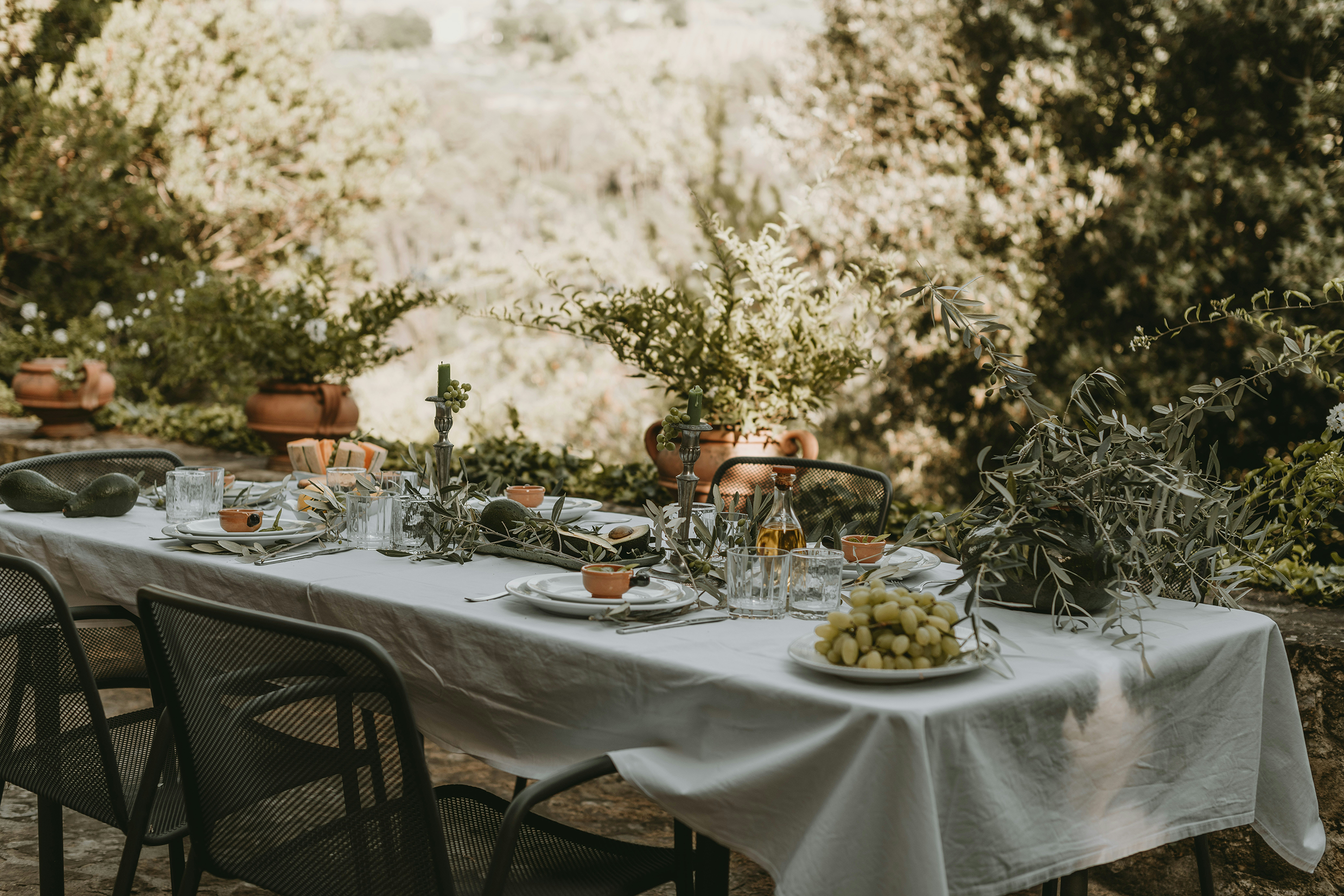 The Olive: a legacy from Roman Portugal