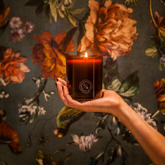 Collection image for: Candles