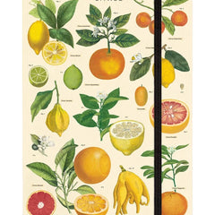 Collection image for: notebooks