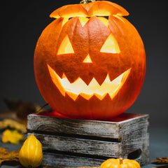 Collection image for: Halloween