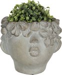Flower pot  20 x 18 x 18 cm