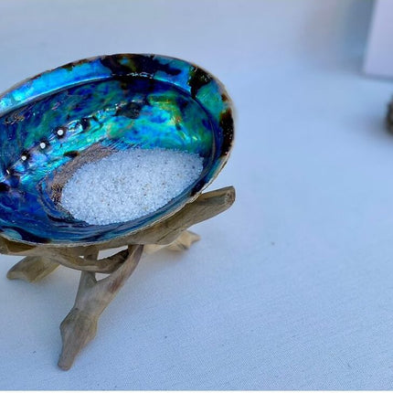 Concha-Abalone-Terra-Zen