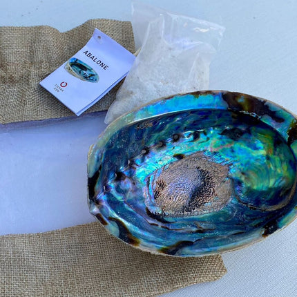Concha-Abalone-Terra-Zen