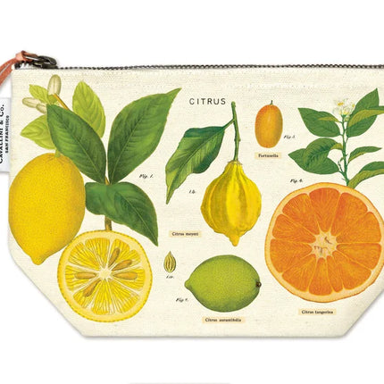 Cavallini vintage cotton pouch Dandelion