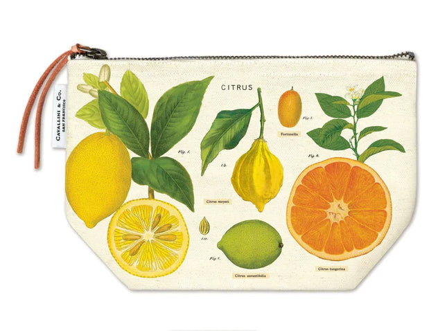 Cavallini vintage cotton pouch Hummingbirds