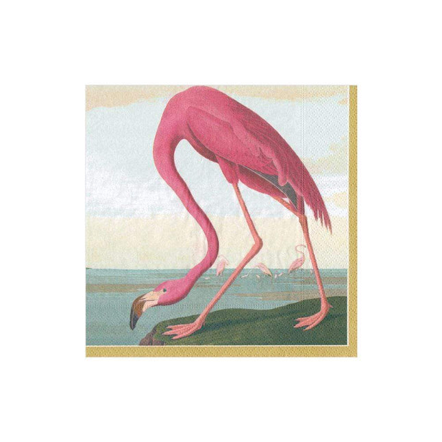 paper-cocktail-napkins-audubon-birds-pink-green