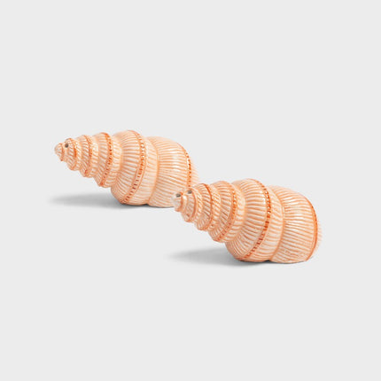 salt-pepper-shell-dolomite-orange-hand-painted-&K